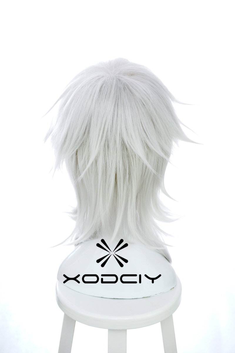 Wig Cosplay Anime Touken Ranbu - Men Accessories Online ulasan dan harga